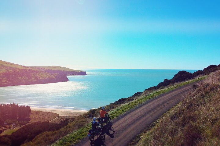 Akaroa Self Guided Electric Scooter Tour