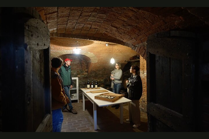 Taste Barolo and Barbaresco with a Sommelier. Piemonte Wine Tour