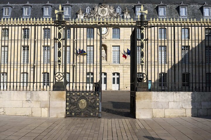 Hello Dijon: Private 2-Hour Intro City Walk with Local Guide