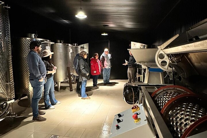 Silex Tours : Wine, History and Culture in Colonia del Sacramento