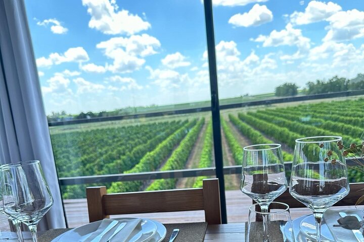 Silex Tours : Wine, History and Culture in Colonia del Sacramento
