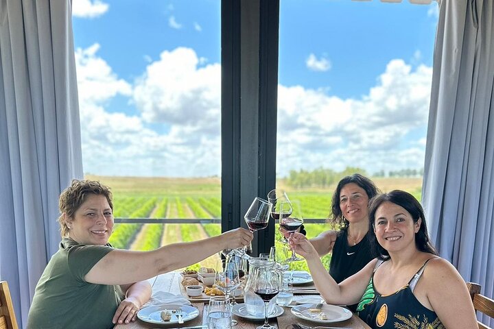 Silex Tours : Wine, History and Culture in Colonia del Sacramento