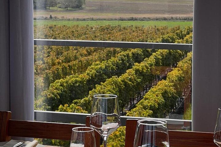 Silex Tours : Wine, History and Culture in Colonia del Sacramento