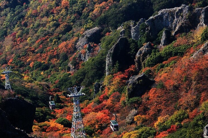1 Day Shodoshima Island Bus Tour