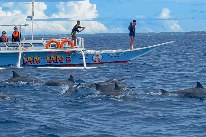 Bohol Province Balicasag Island Day Tour