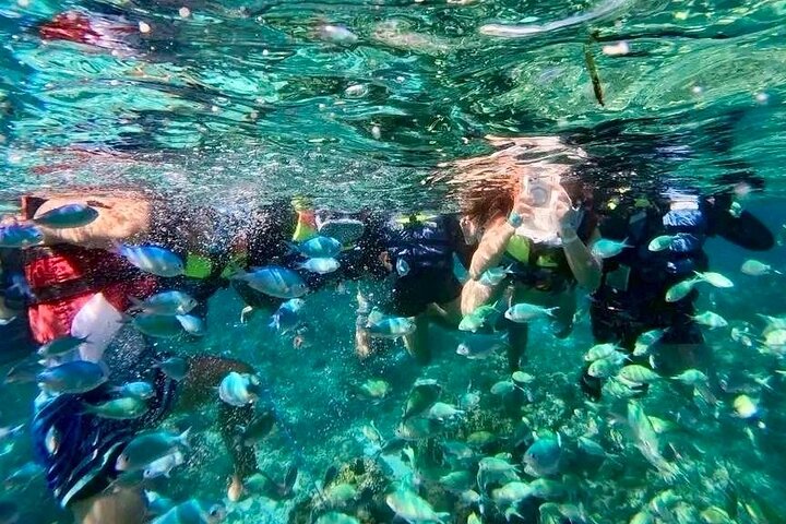 Bohol Province Balicasag Island Day Tour
