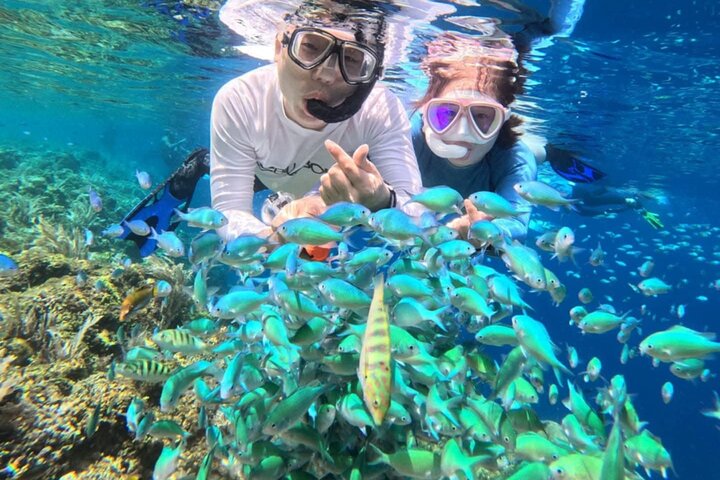 Bohol Province Balicasag Island Day Tour