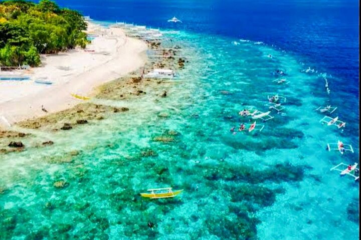 Bohol Province Balicasag Island Day Tour