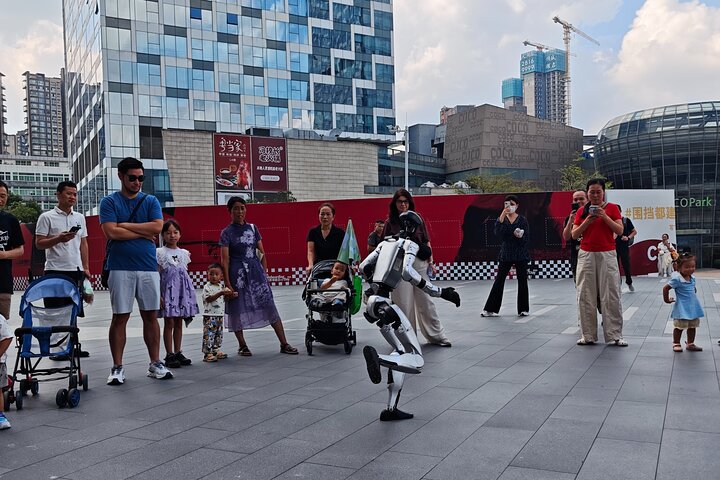 Shenzhen Private Day Tour with Car Service Tech+Culture+Shopping