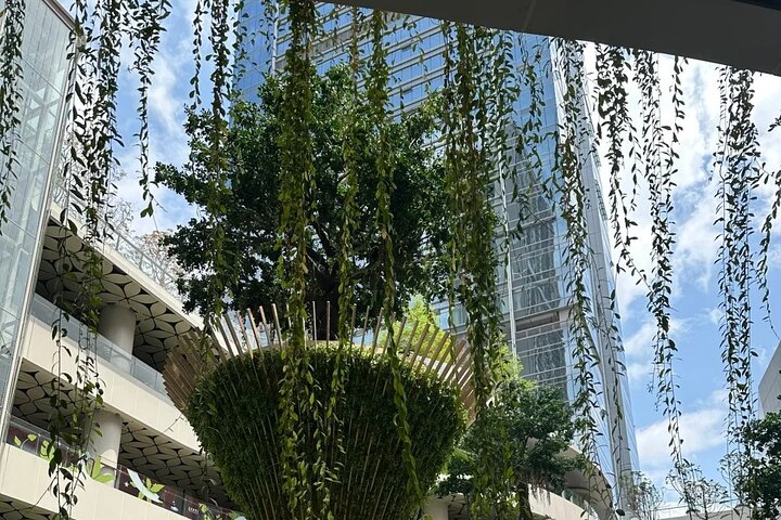 Experience Shenzhen in a Cultural Tour Beyond Tech