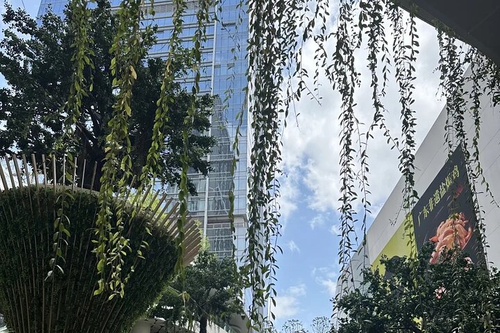 Experience Shenzhen in a Cultural Tour Beyond Tech