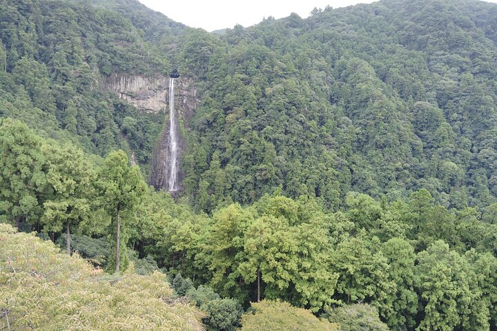 Wakayama: Kumano Kodo Sacred Walk to Nachi’s Sacred Sites