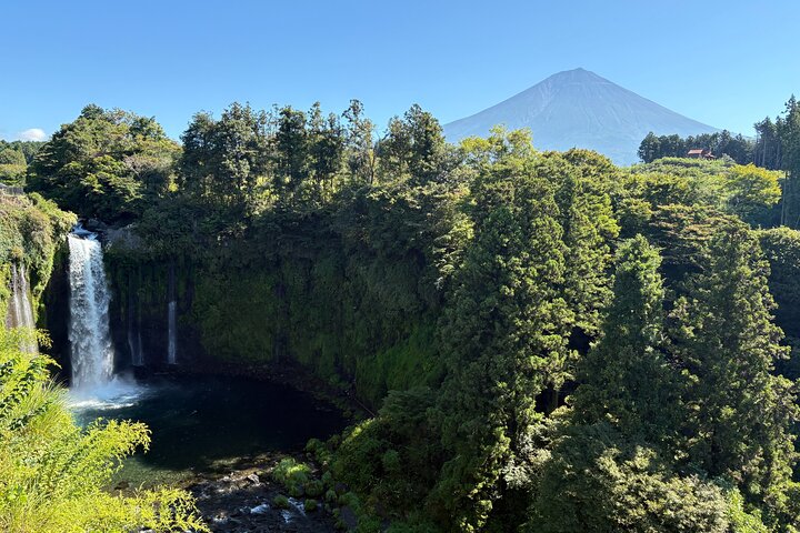 Mt. Fuji Half-Day Private Cultural Tour: Shinkansen Stopover