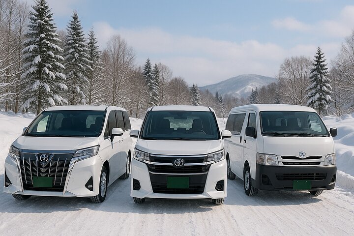 Between Niseko and New Chitose Airport: Private One-Way Transfer