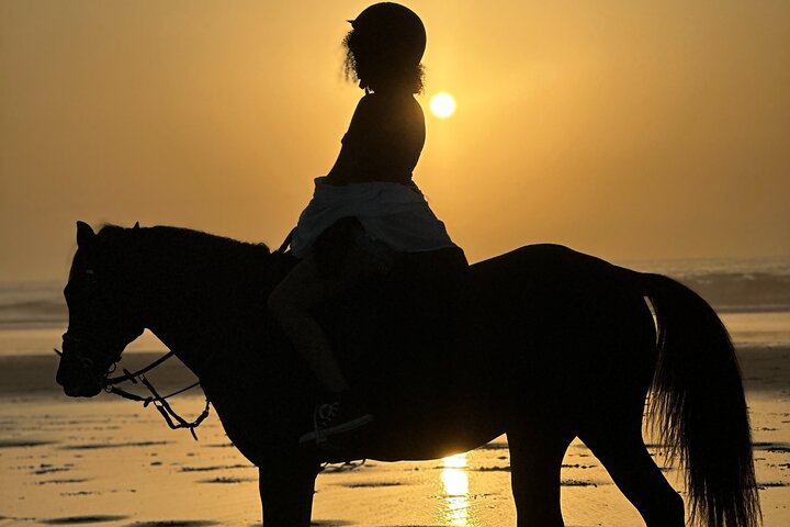 Horseback Riding in Essaouira - Essaouira HorseRiding