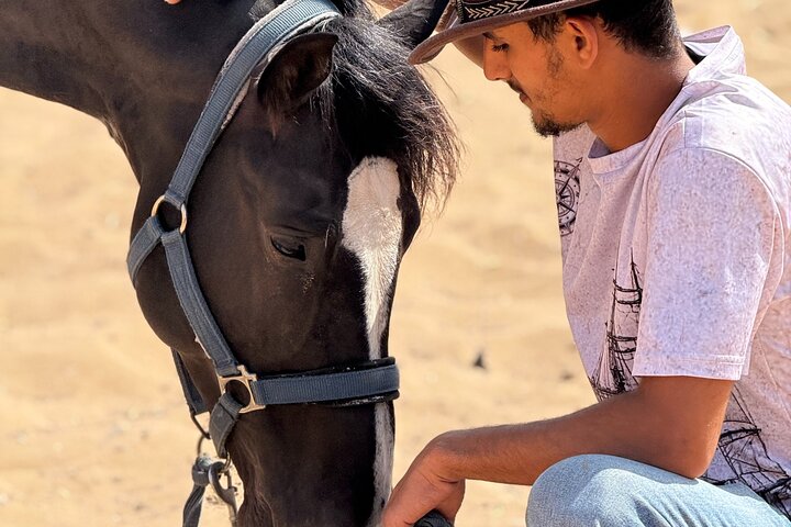 Horseback Riding in Essaouira - Essaouira HorseRiding