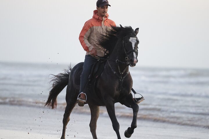 Horseback Riding in Essaouira - Essaouira HorseRiding