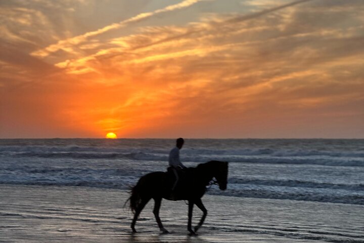 Horseback Riding in Essaouira - Essaouira HorseRiding