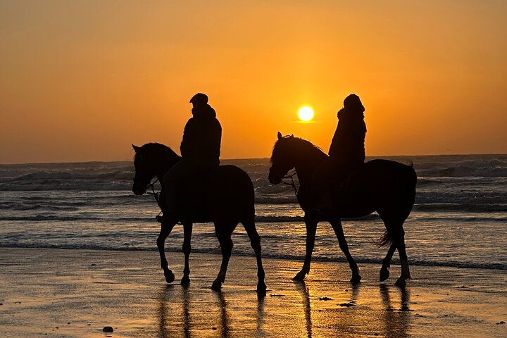 Horseback Riding in Essaouira - Essaouira HorseRiding