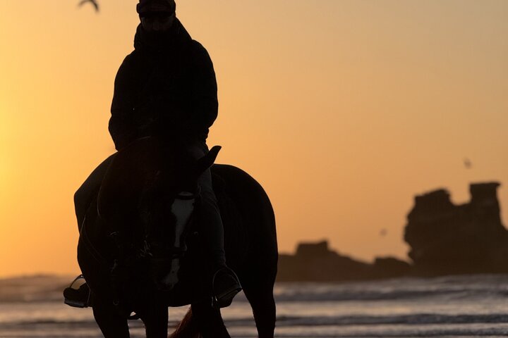 Horseback Riding in Essaouira - Essaouira HorseRiding