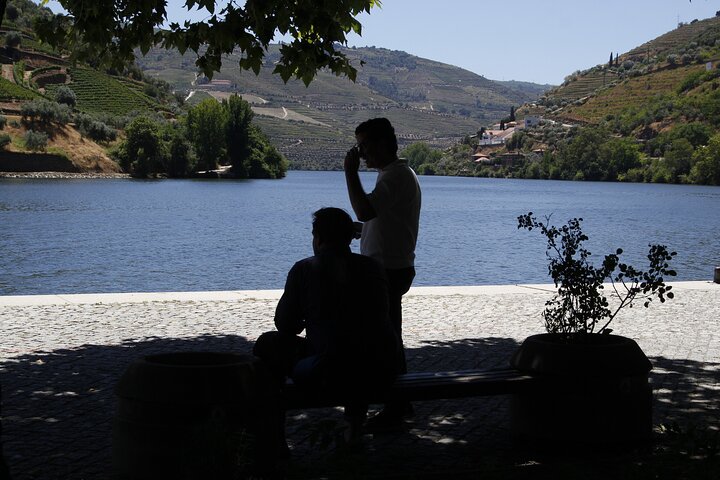Lisbon to Douro Valley One Way Trip Up to 4 Stops