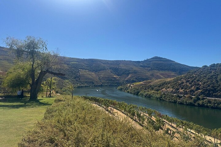 Lisbon to Douro Valley One Way Trip Up to 4 Stops