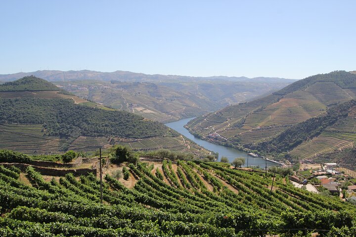 Lisbon to Douro Valley One Way Trip Up to 4 Stops