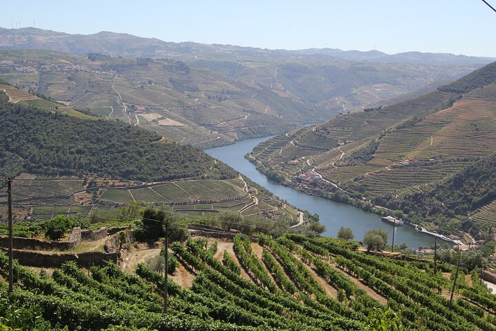 Lisbon to Douro Valley One Way Trip Up to 4 Stops