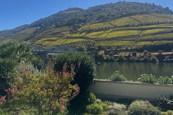 Lisbon to Douro Valley One Way Trip Up to 4 Stops