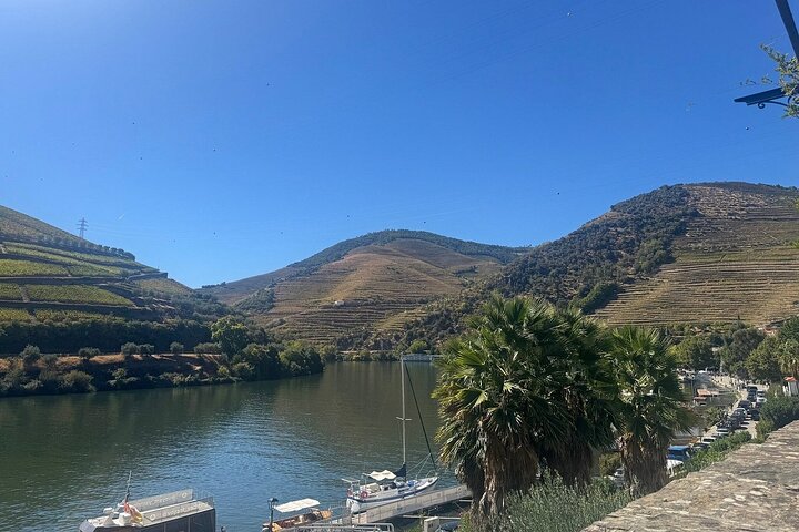 Lisbon to Douro Valley One Way Trip Up to 4 Stops
