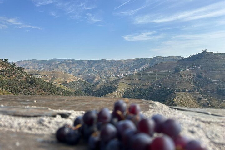 Lisbon to Douro Valley One Way Trip Up to 4 Stops