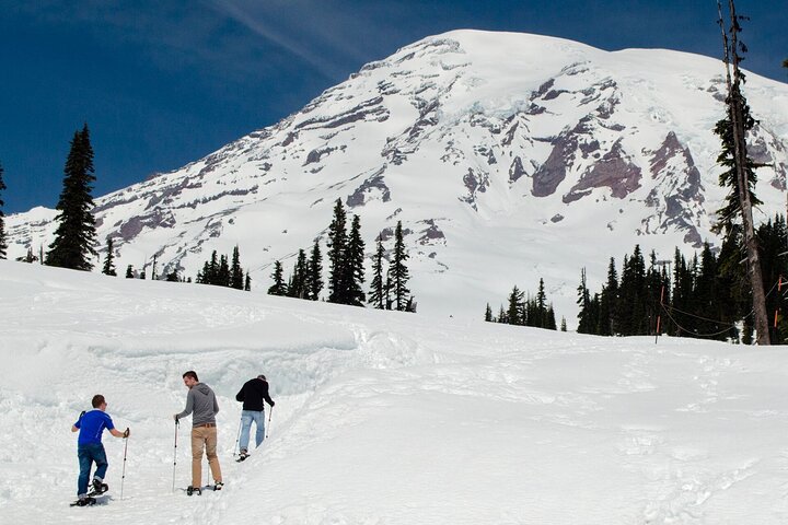 Mt. Rainier Day Tour from Seattle