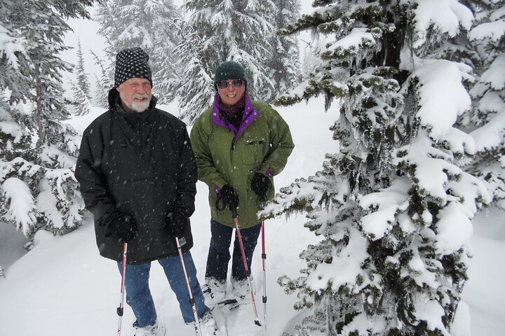 Mt. Rainier Day Tour from Seattle