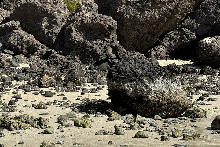 Playa Balandra Beach with La Paz Guided Tour! La Paz Round Trip