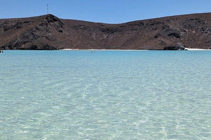 Playa Balandra Beach with La Paz Guided Tour! La Paz Round Trip