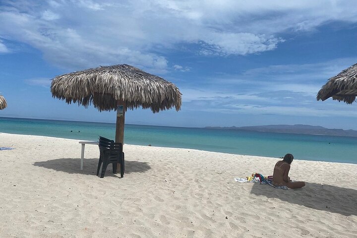 Playa Balandra Beach with La Paz Guided Tour! La Paz Round Trip