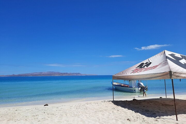 Playa Balandra Beach with La Paz Guided Tour! La Paz Round Trip