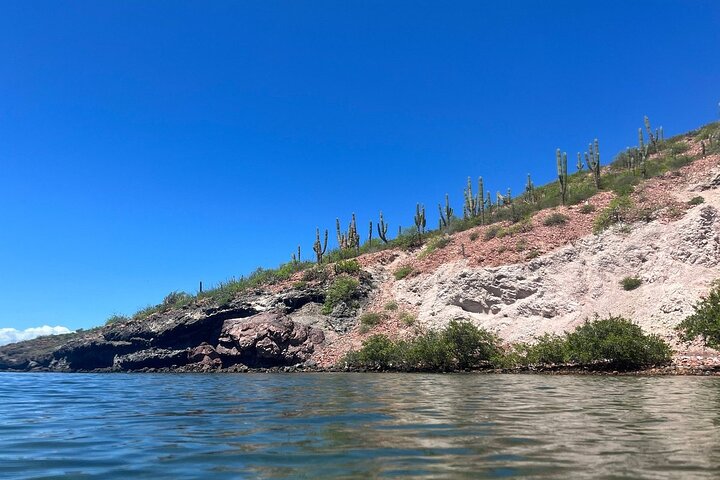 Playa Balandra Beach with La Paz Guided Tour! La Paz Round Trip
