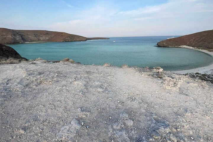 Playa Balandra Beach with La Paz Guided Tour! La Paz Round Trip