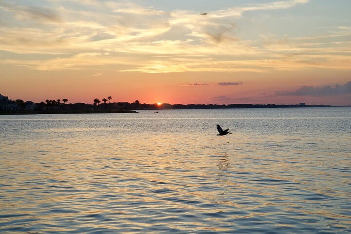 3 Hour Sunset Dinner Cruise by Solaris Yacht in Miramar Beach