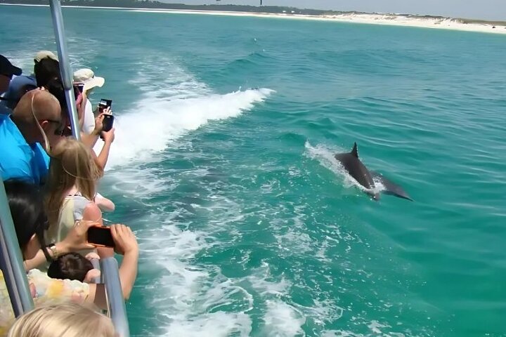 Pensacola Beach Dolphin and Scenic Tour