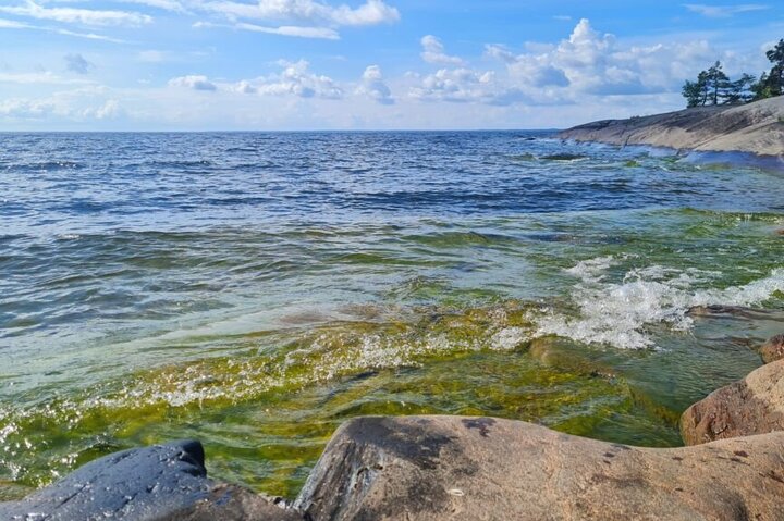 Private Day Trip from Gothenburg to Lake Vanern and Lacko Castle