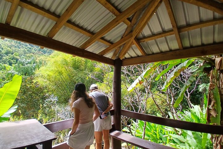 Garden of Sleeping Giant Tour with Tifajek Mud Pool and Hotspring