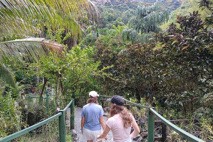 Garden of Sleeping Giant Tour with Tifajek Mud Pool and Hotspring
