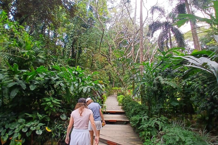 Garden of Sleeping Giant Tour with Tifajek Mud Pool and Hotspring