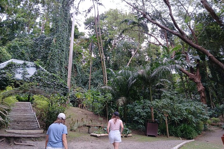 Garden of Sleeping Giant Tour with Tifajek Mud Pool and Hotspring