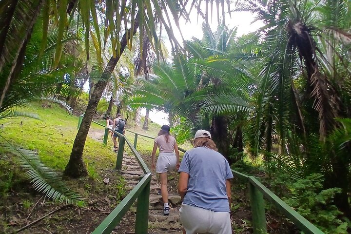 Garden of Sleeping Giant Tour with Tifajek Mud Pool and Hotspring