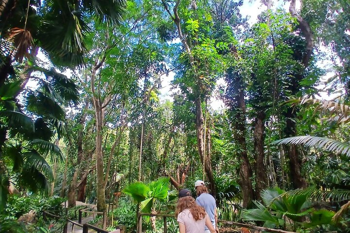 Garden of Sleeping Giant Tour with Tifajek Mud Pool and Hotspring