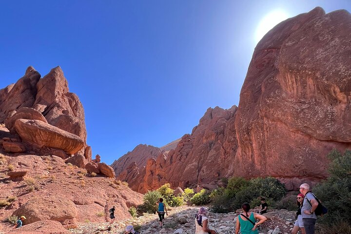 Private Hike to Monkey Fingers Canyon