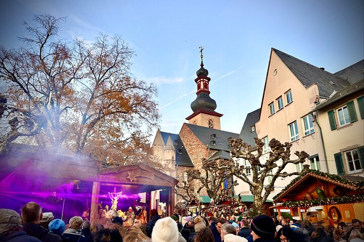 Sip Wine Along the Rhine! Romantic Rhein & Castle Wineries tour